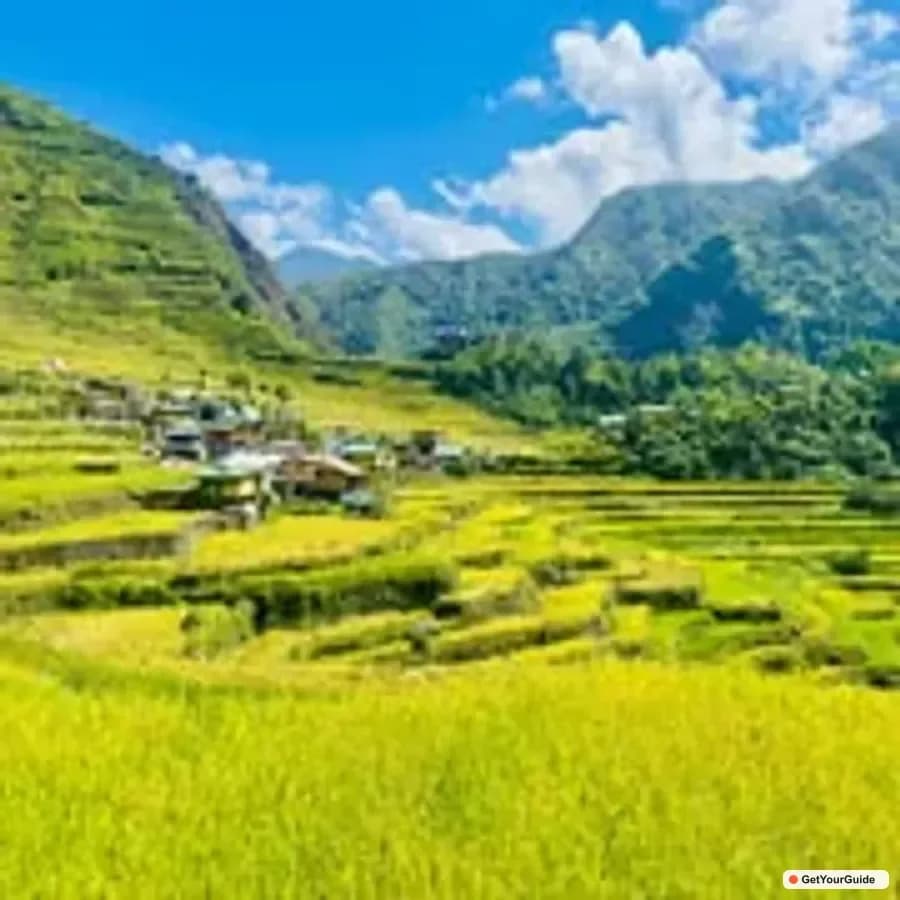 Banaue Rice Terraces