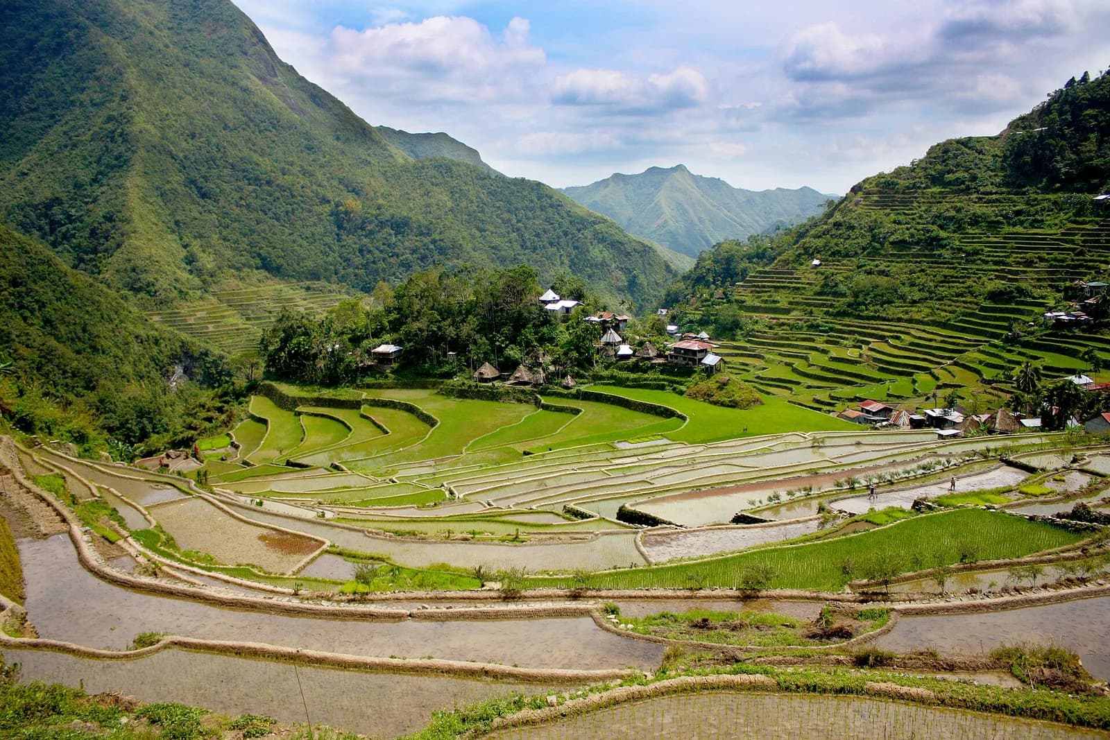 Five Things Travellers Get Wrong About the Rice Terraces - Starting With Which Ones Are Listed