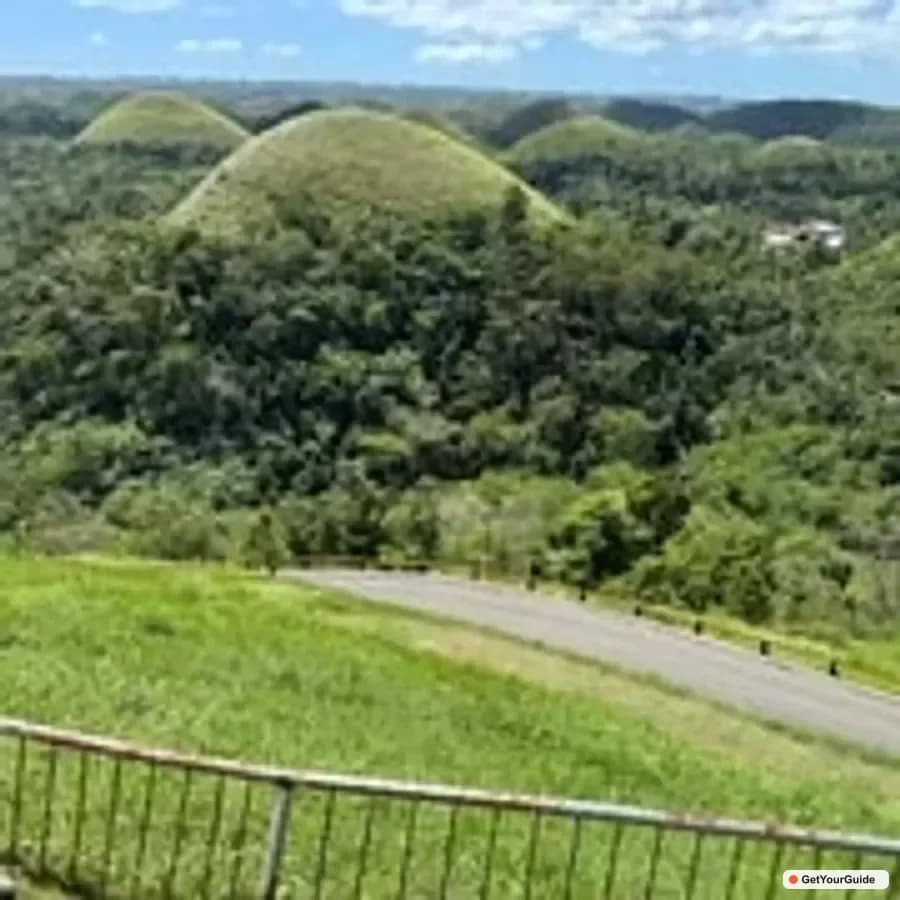 Bohol Chocolate Hills and Tarsiers Guided Tour