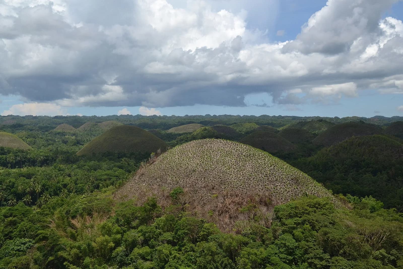 Bohol Countryside Tour: Chocolate Hills, Tarsiers and the Loboc River Explained