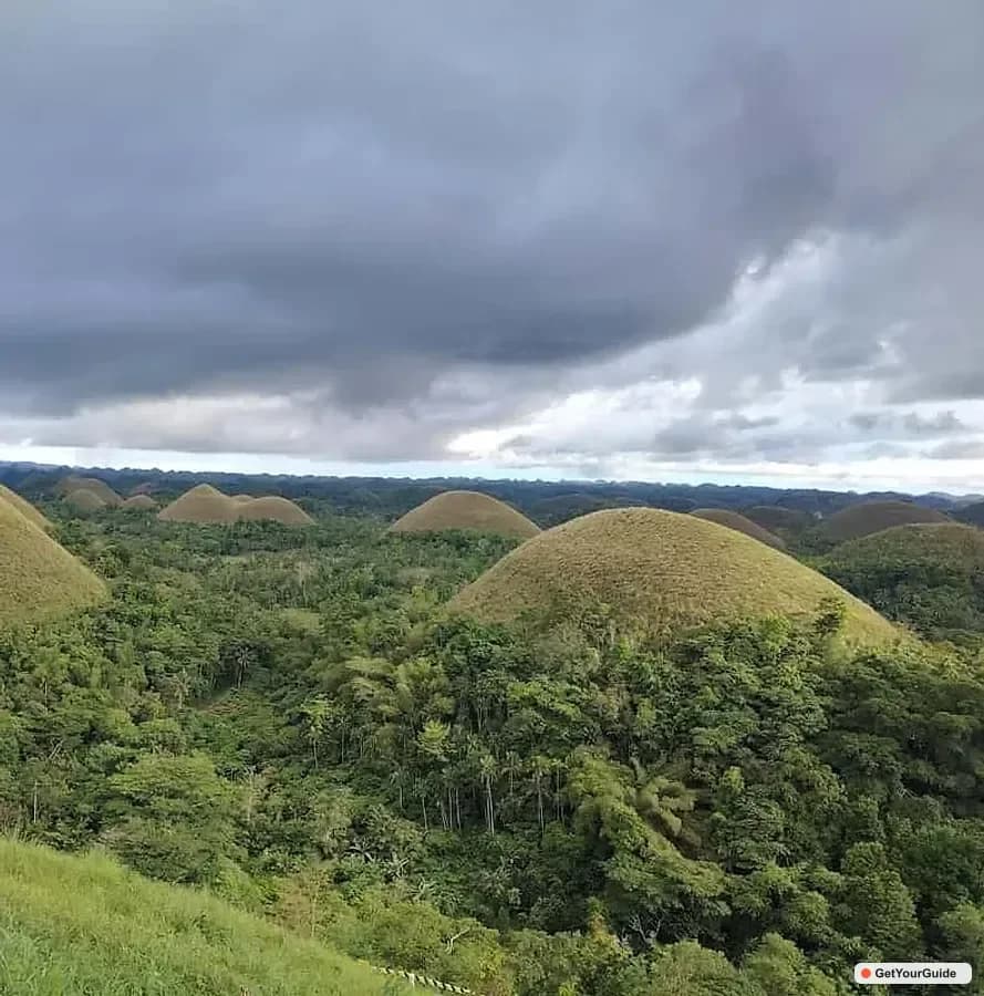 Bohol Chocolate Hills, Tarsiers and Loboc River Day Tour