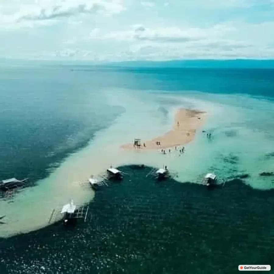 Bohol Dolphin Watching: Balicasag, Pamilacan and Virgin Island Tour