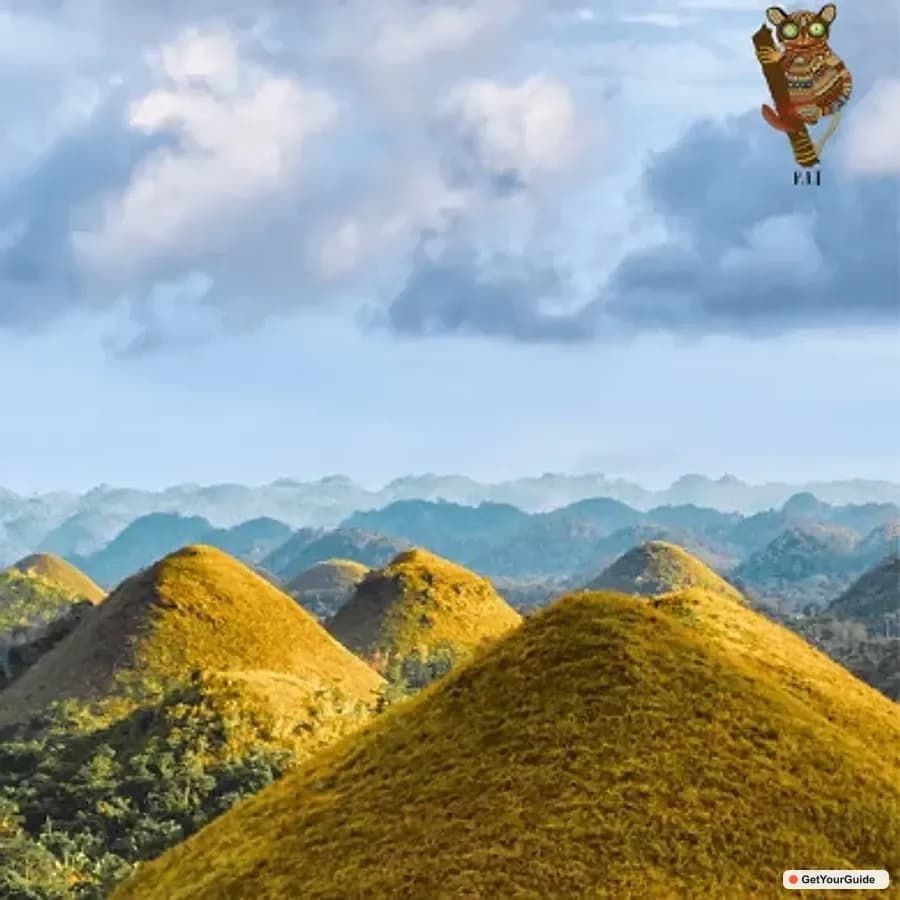 Bohol Premium Chocolate Hills, Tarsiers and River Experience