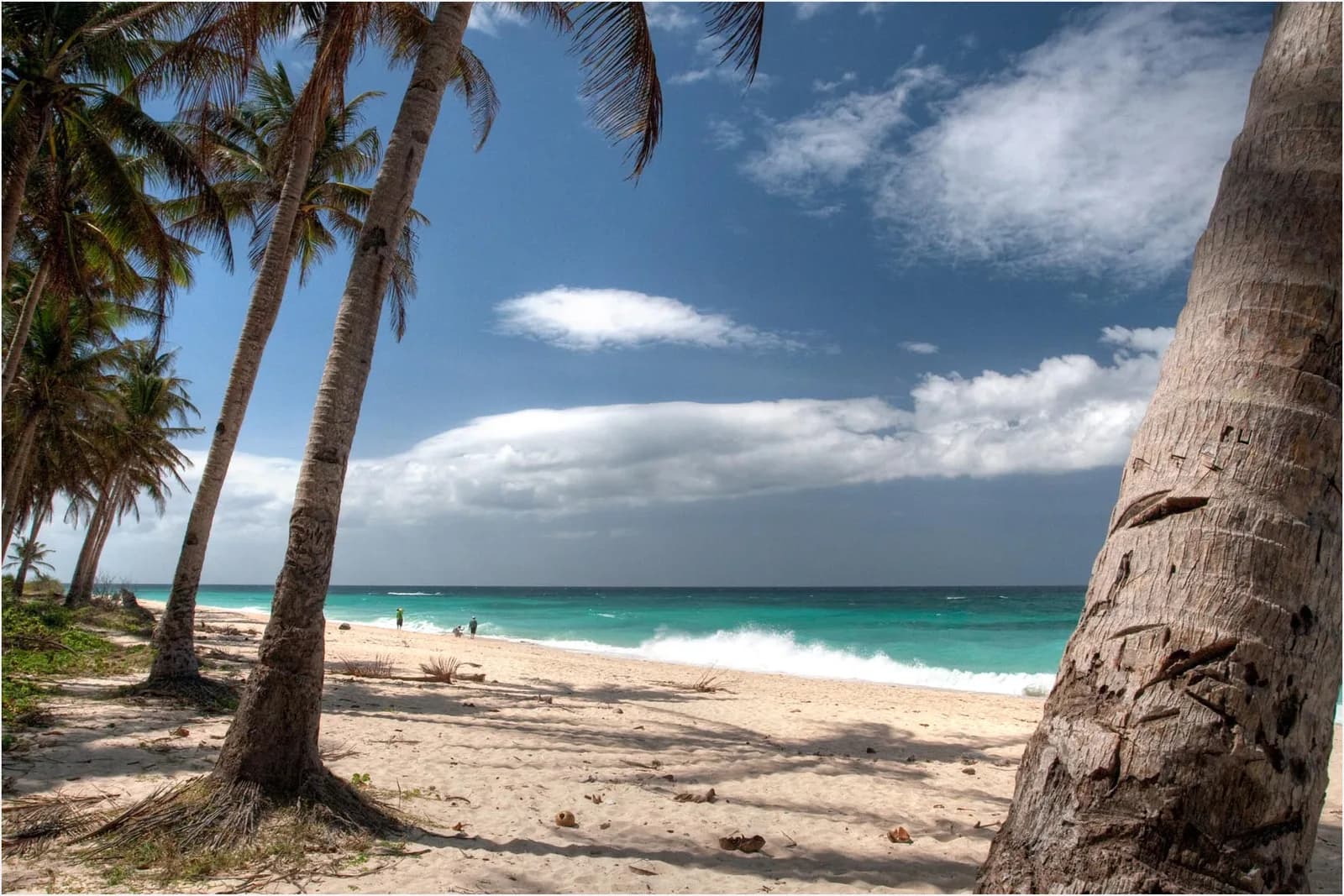Boracay UFO Ride Water Adventure - Guide