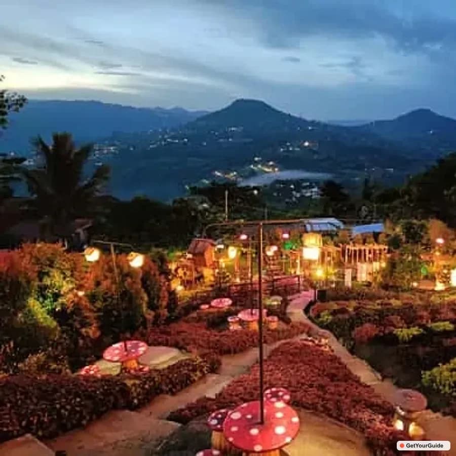 Cebu 4-Day Tour Package - Guide
