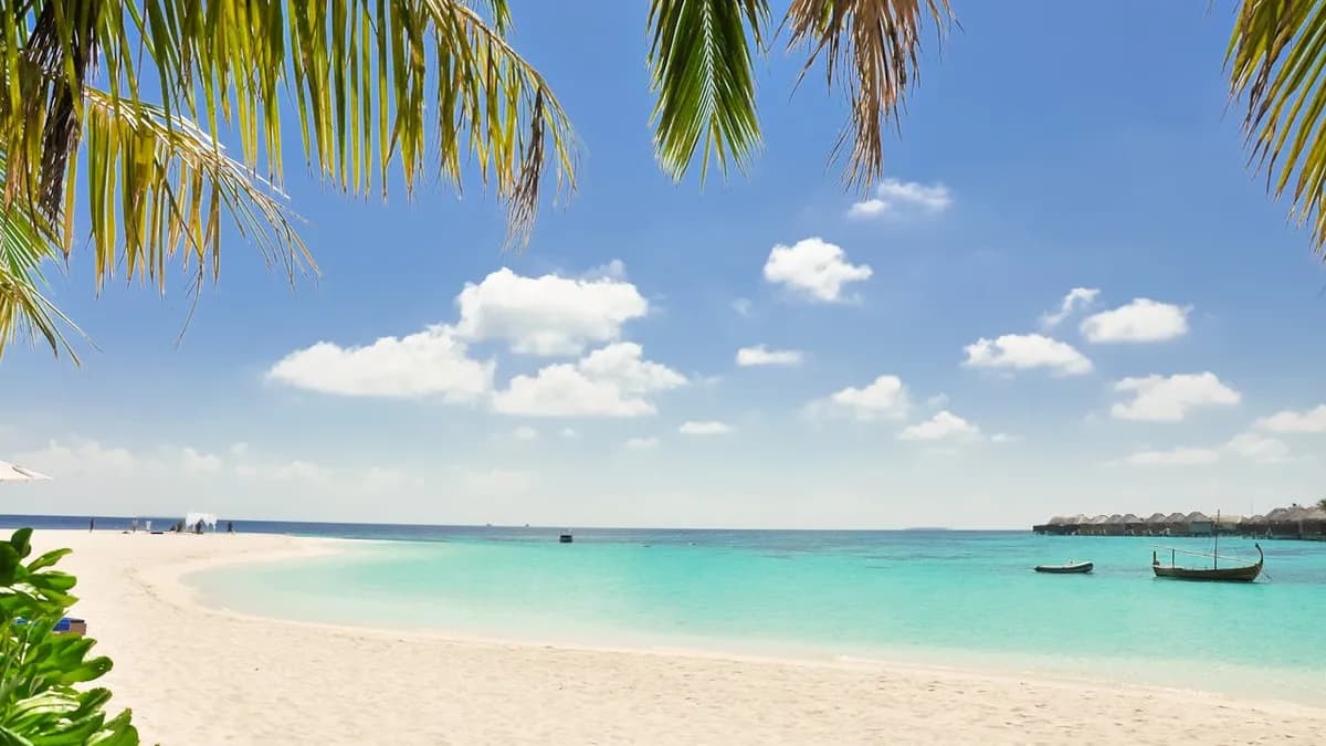 Mactan Island Hopping: Nalusuan, Hilutungan & Pandanon (with BBQ Lunch)