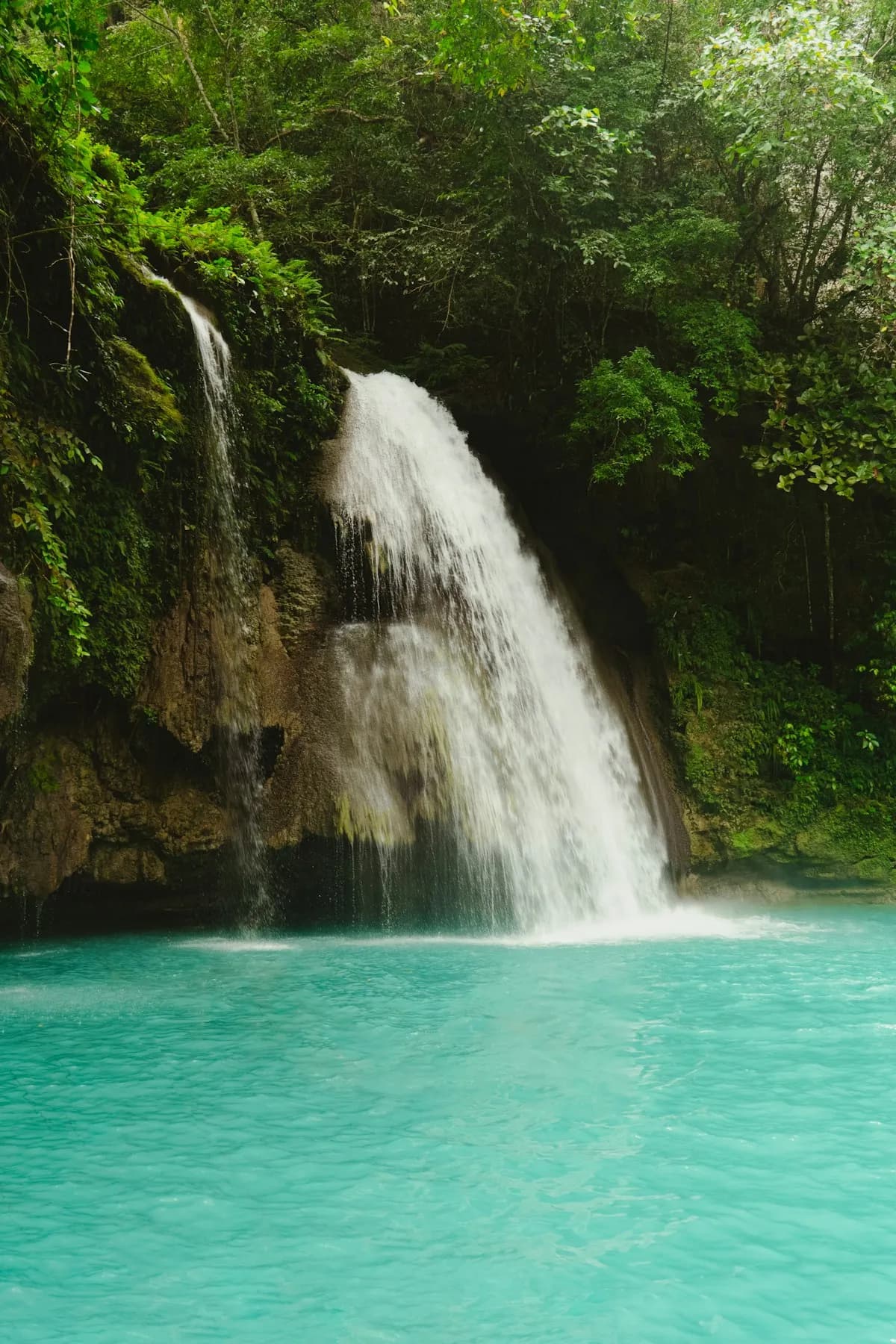 Cebu South Coast Day Trip — Kawasan + Moalboal Sardines + Oslob