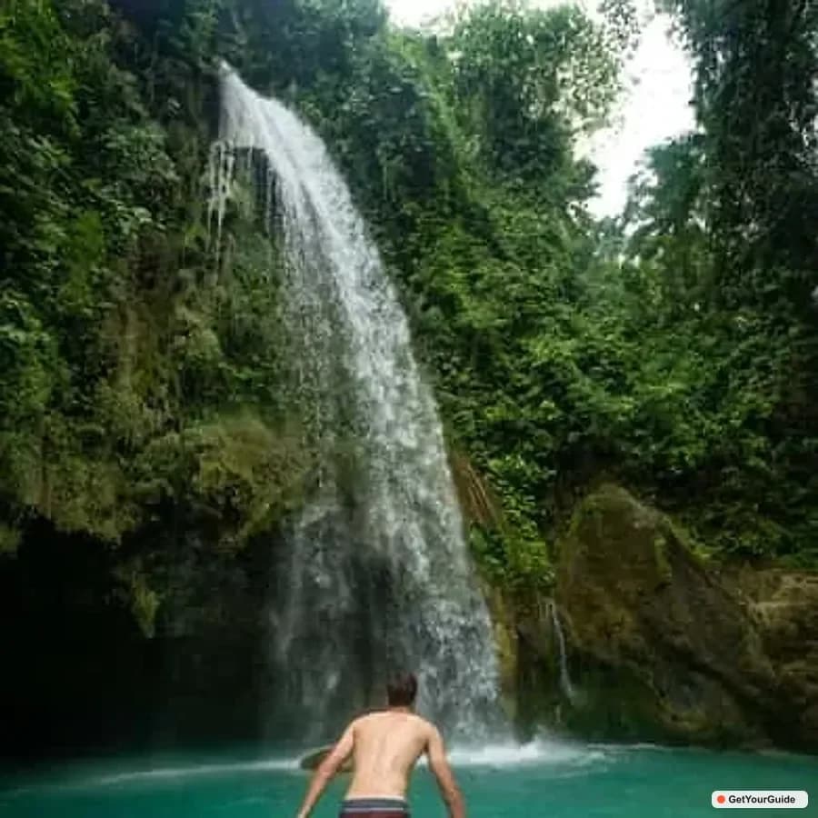 Cebu Oslob Whaleshark, Inambakan Falls & Moalboal Sardines Run - Guide