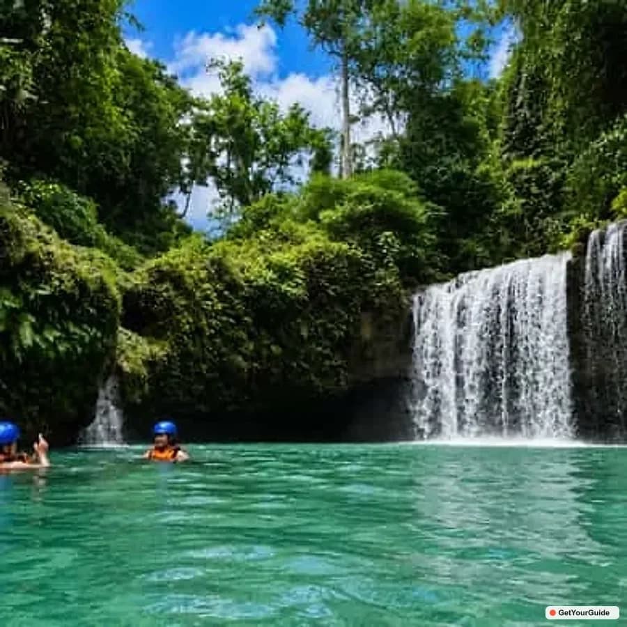 Cebu Whale Shark Swim and Kawasan Canyoneering Tour