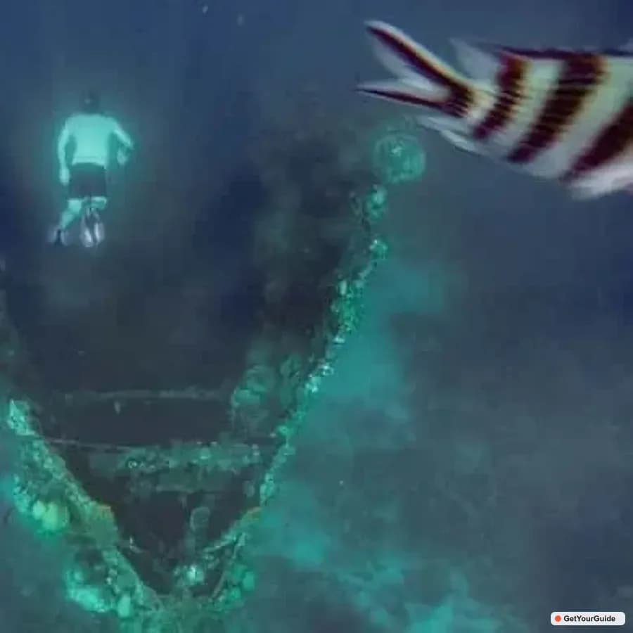 Coron Barracuda Lake, Skeleton Wreck & Twin Lagoon Boat Tour