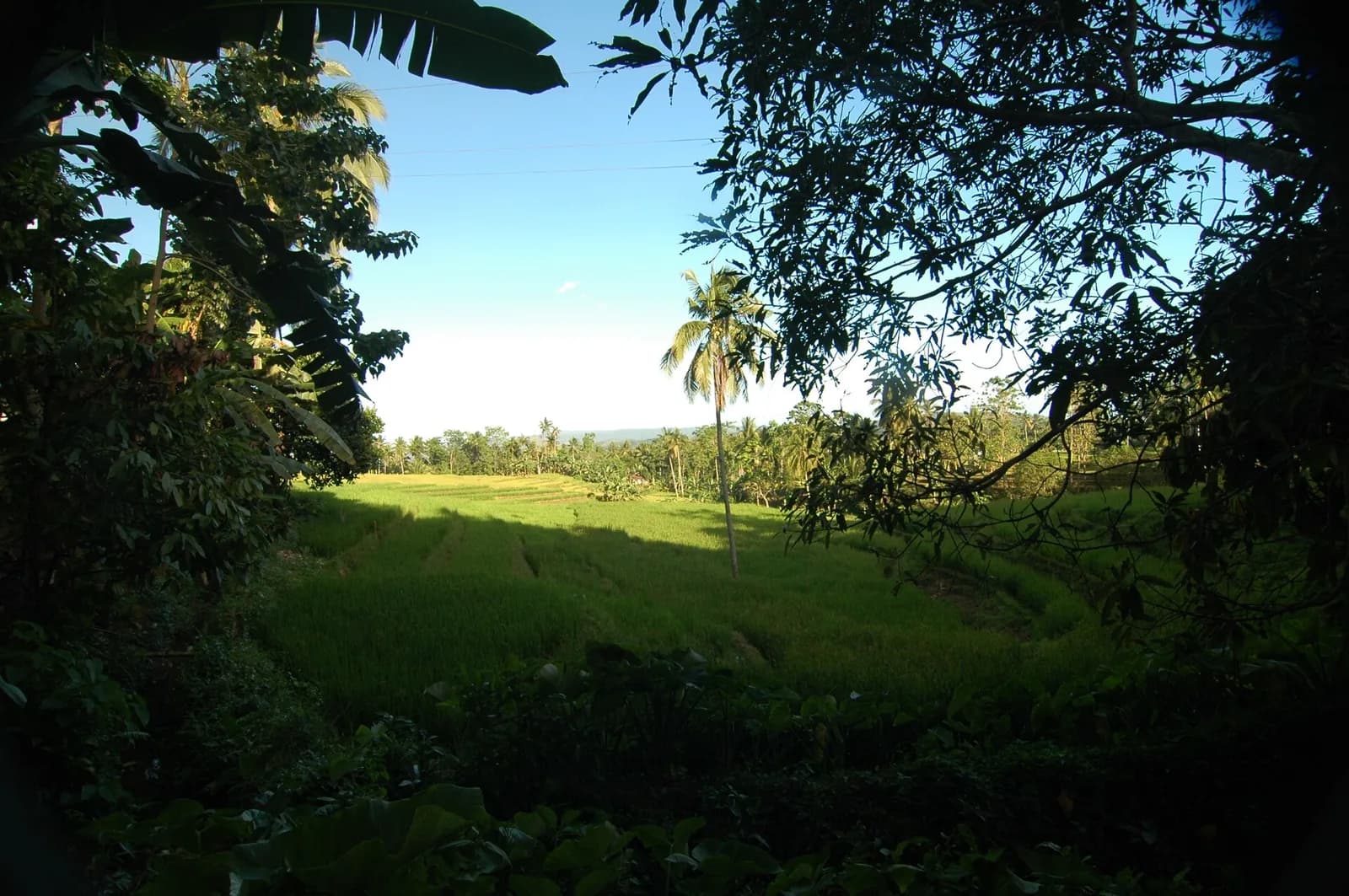 East Bohol Private Tour: Anda, Waterfalls & Lamanok Island