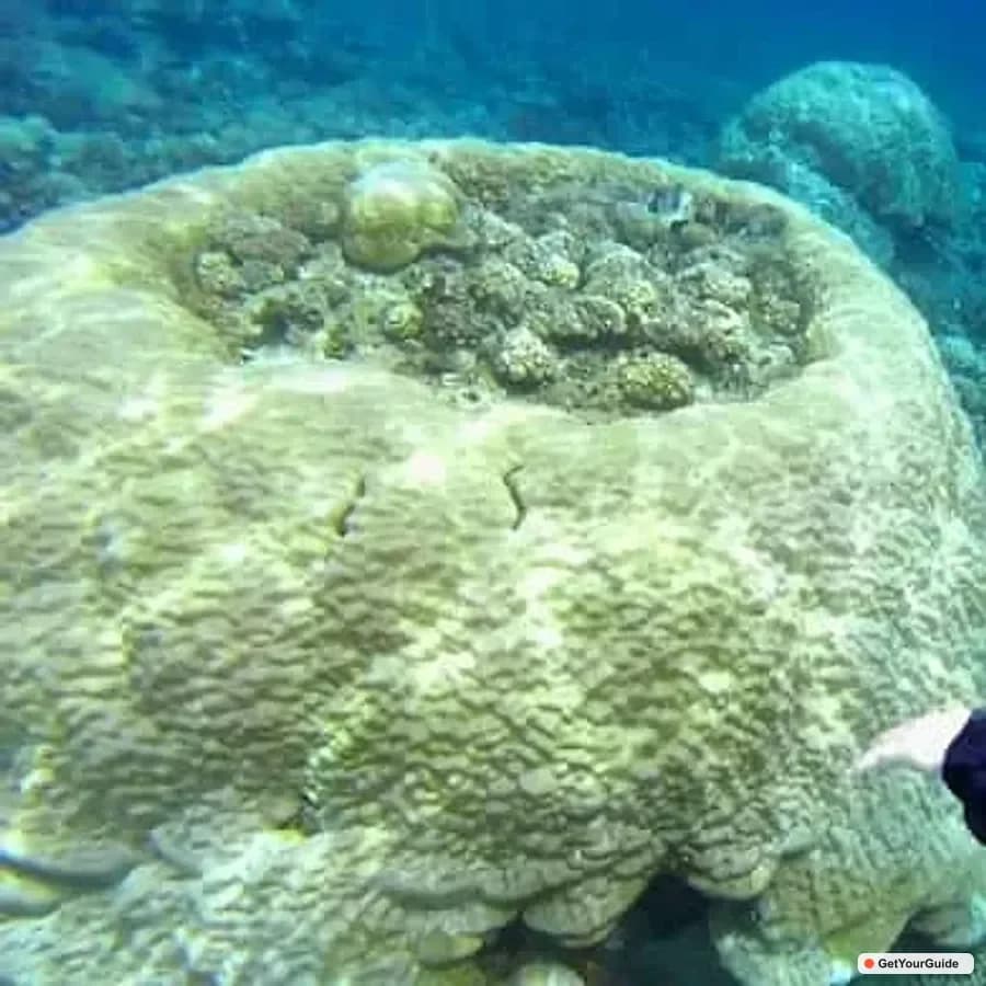 El Nido Island Hopping Tour B Cudognong Cave & More