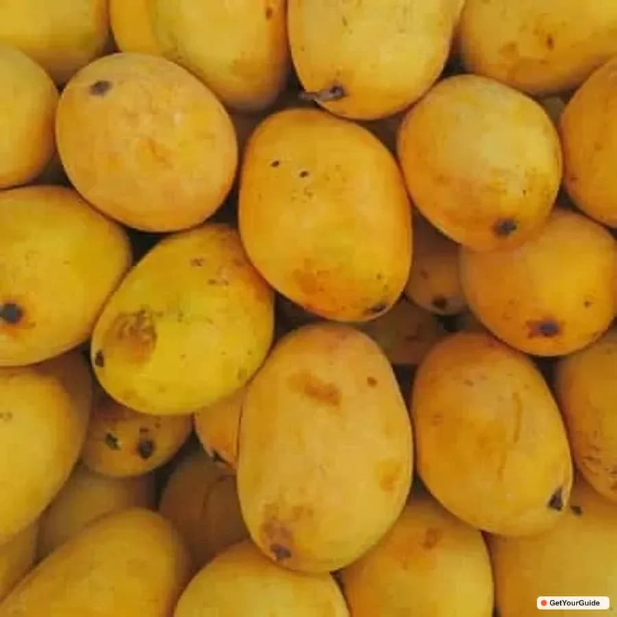 Cebu Food Tour: Bib Gourmand, Street Eats & Jeepney Ride