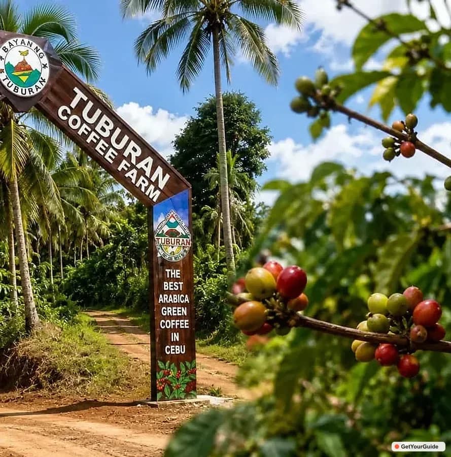 Cebu Highlands Escape with Coffee Farm Experience