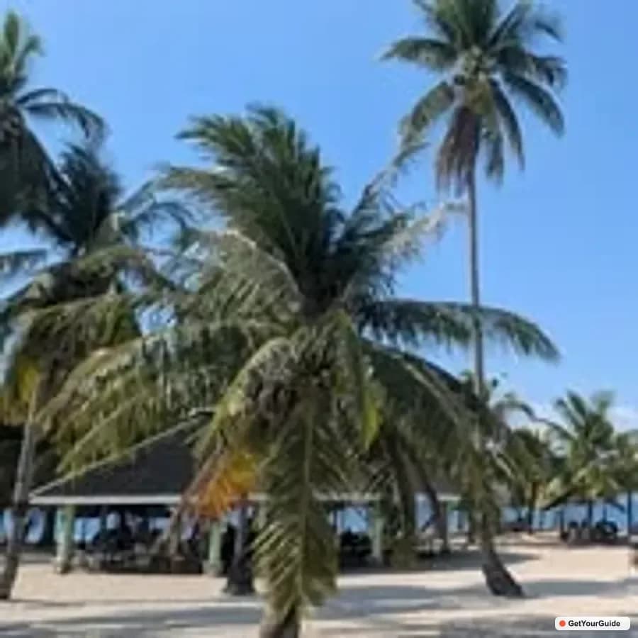 Honda Bay Island Hopping Tour – A Perfect Day in Paradise