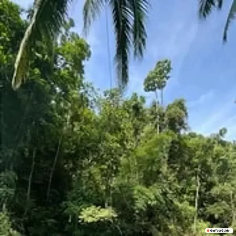 Kawasan Falls Canyoneering Day Tour w/ Zipline & Lunch