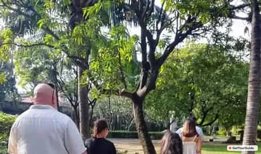 Manila WWII History Walking Tour - Guide