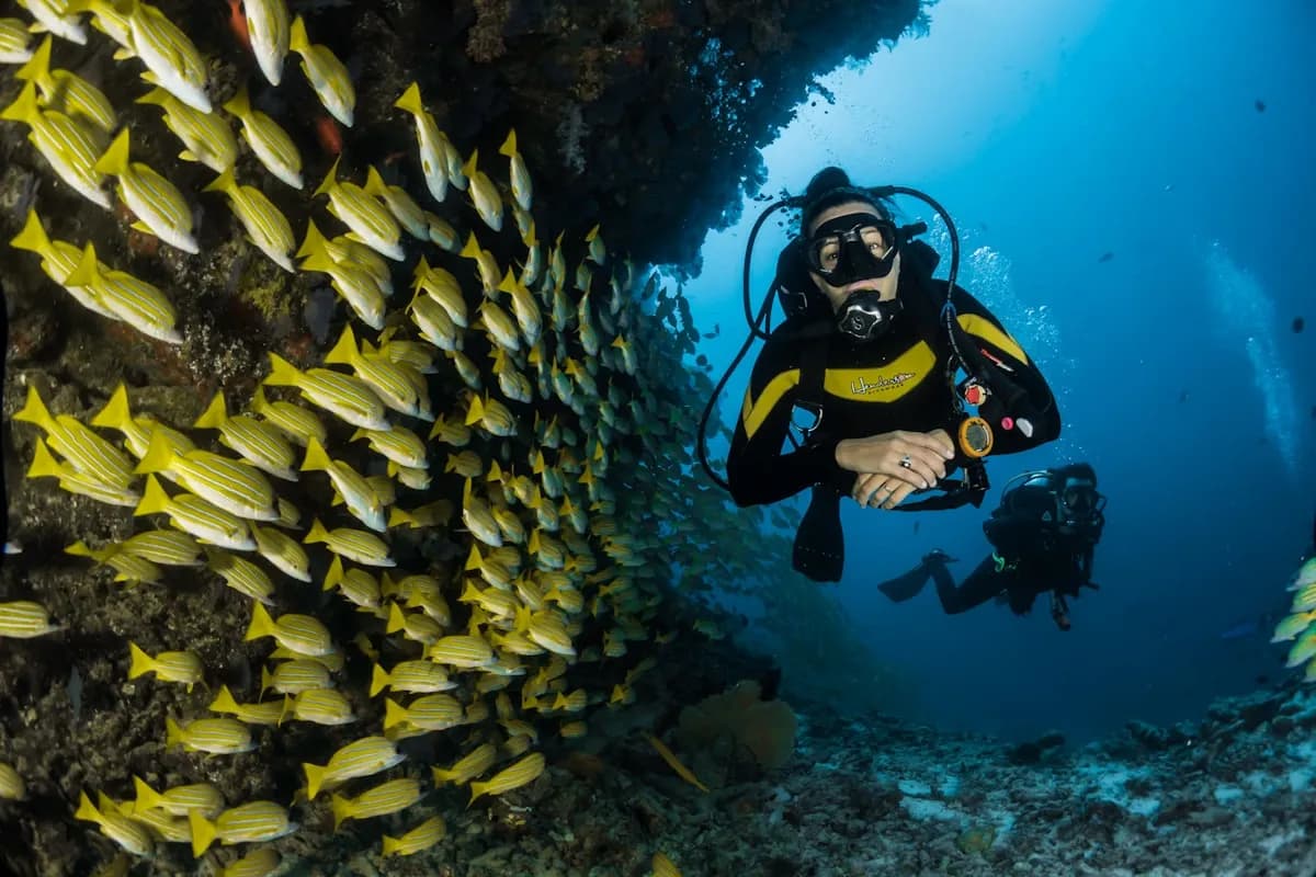 Moalboal Pescador Island Scuba Diving Day Trip