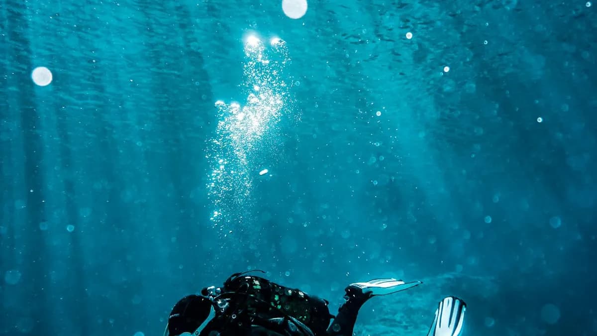 Mactan Discover Scuba Diving for Beginners