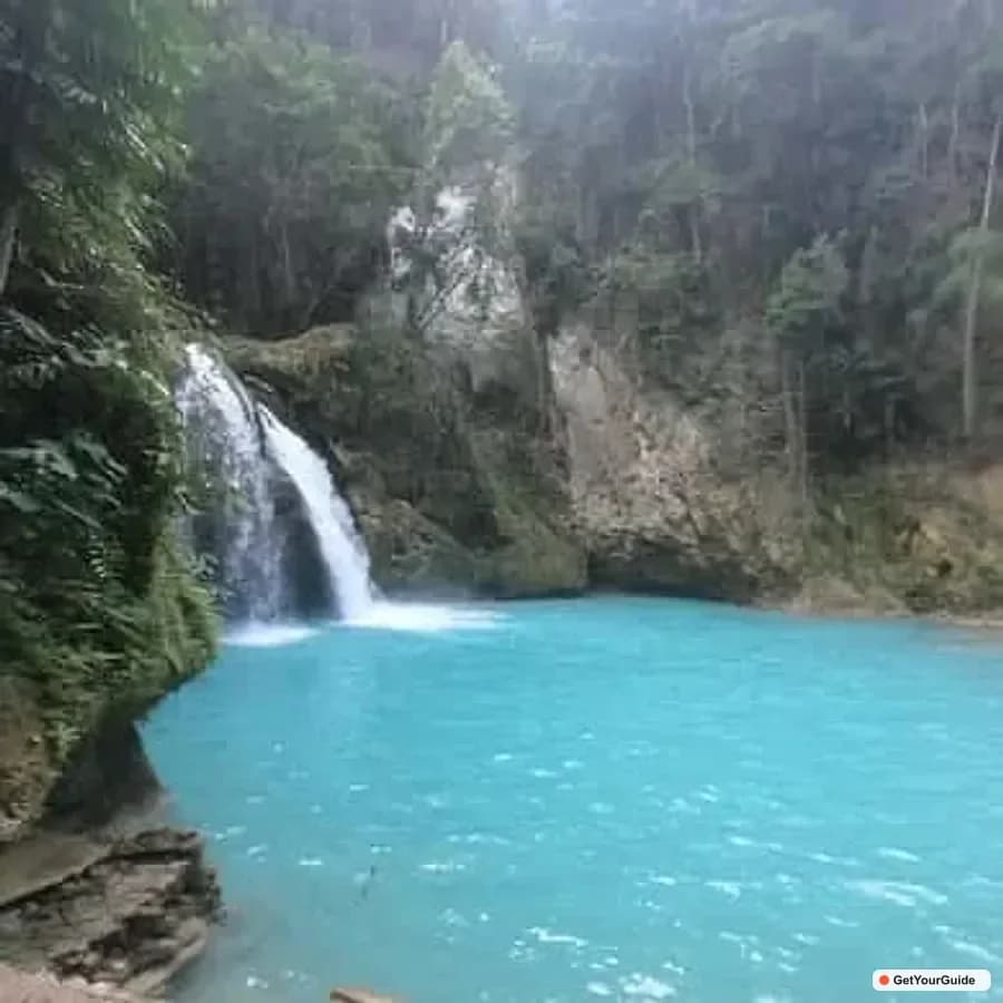 Oslob Whale Sharks, Kawasan Falls and Moalboal Sardines Tour