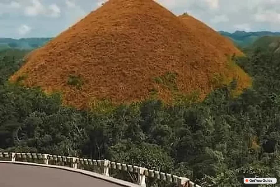 Bohol 3-Day Highlights with Whale Sharks & Chocolate Hills