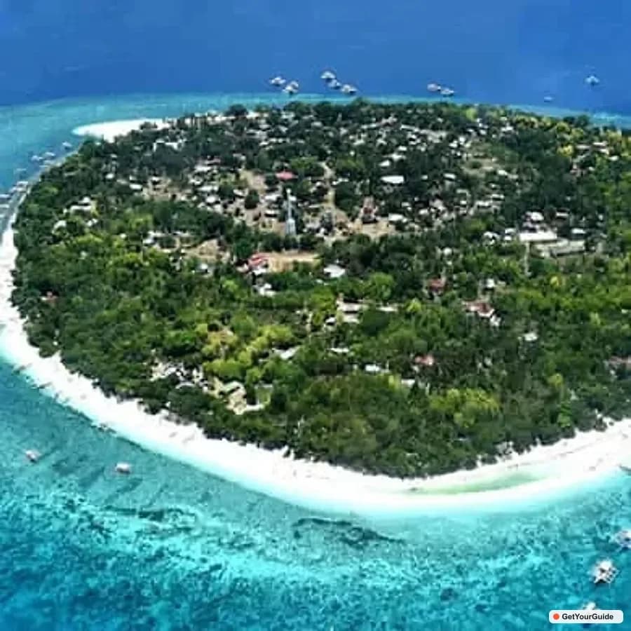 Panglao Balicasag Island Hopping & Dolphin Watching