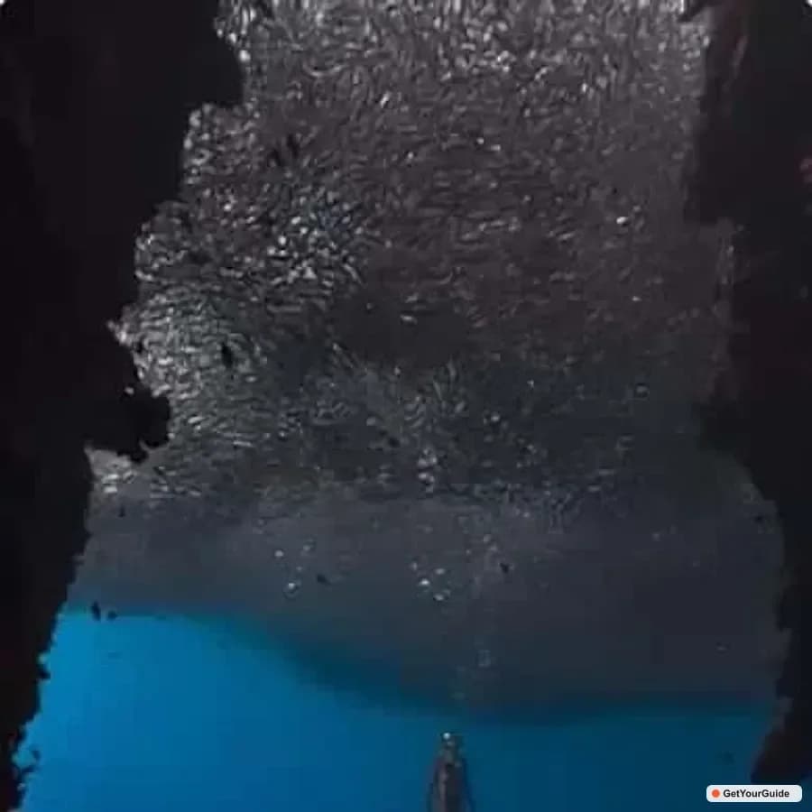Panglao Intro Freediving Class with Pool & Line Training