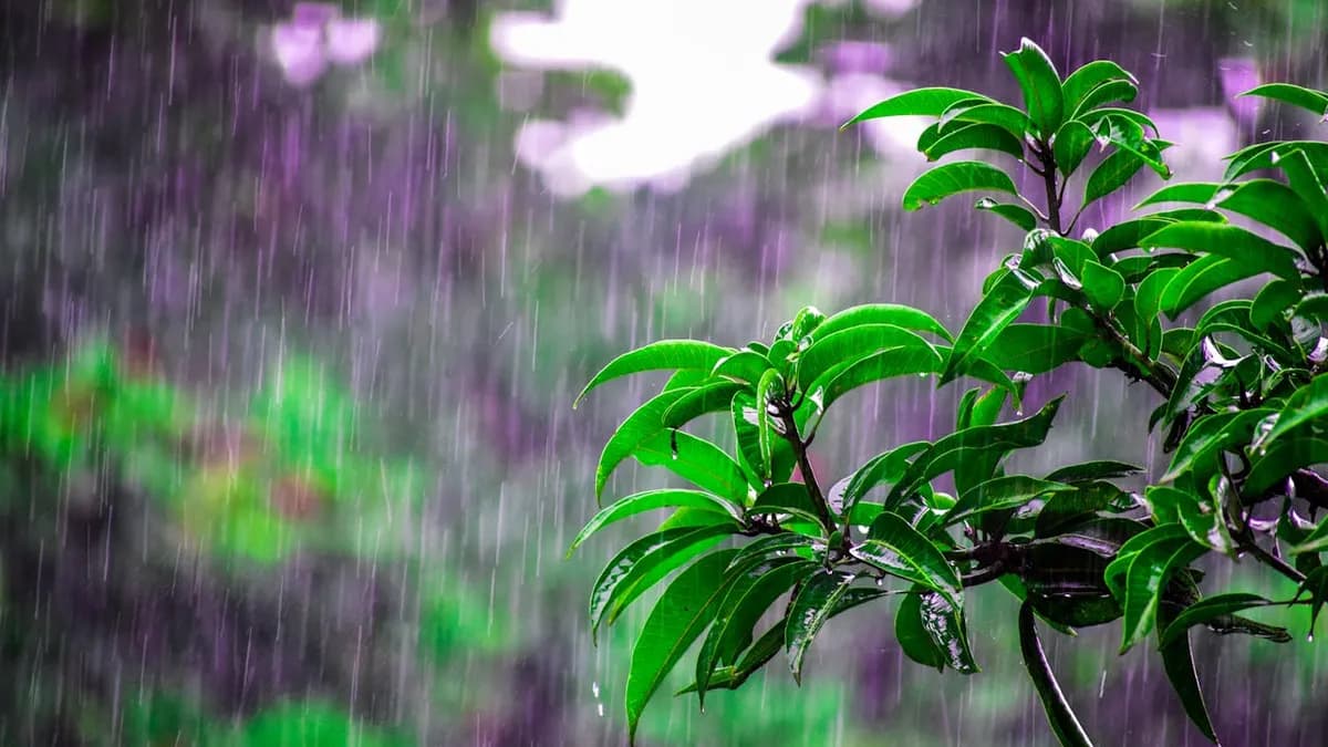 Philippines Typhoon Season 2026: Months, Safety and What to Avoid