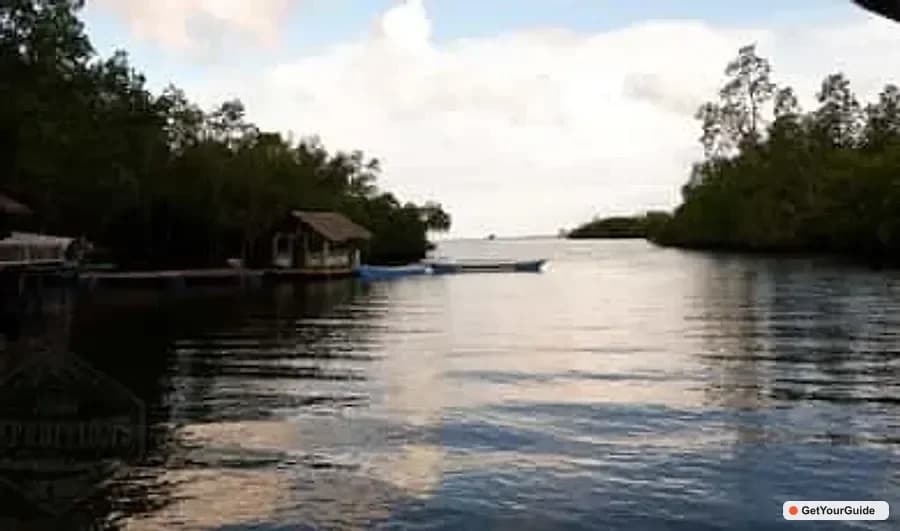 Puerto Princesa Firefly Watching Paddle Boat Tour & Dinner
