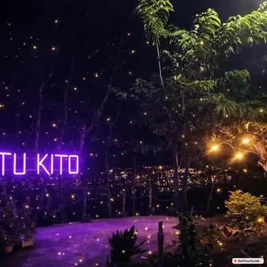 Puerto Princesa Firefly Watching & Seasonal Plankton Tour