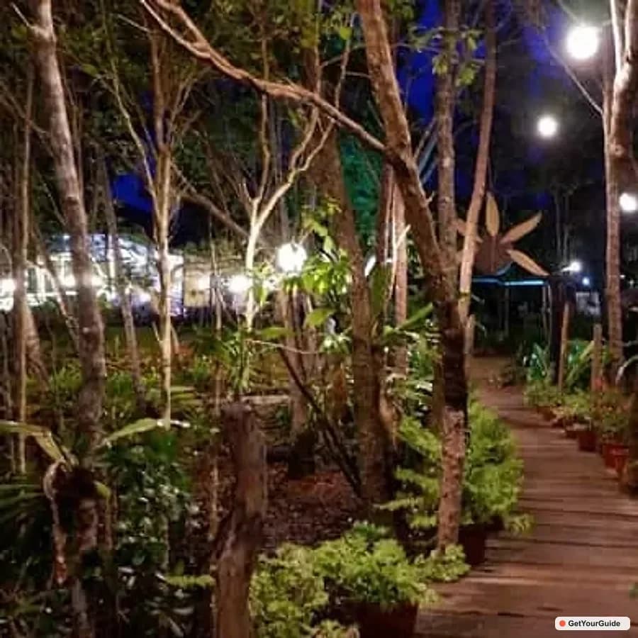 Puerto Princesa Firefly Watching Shared Tour - Guide