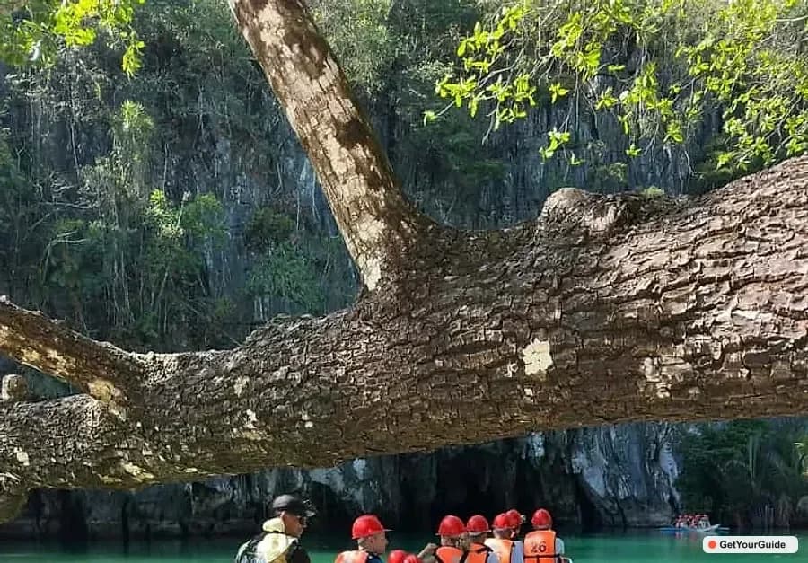 Puerto Princesa Underground River Tour with Lunch