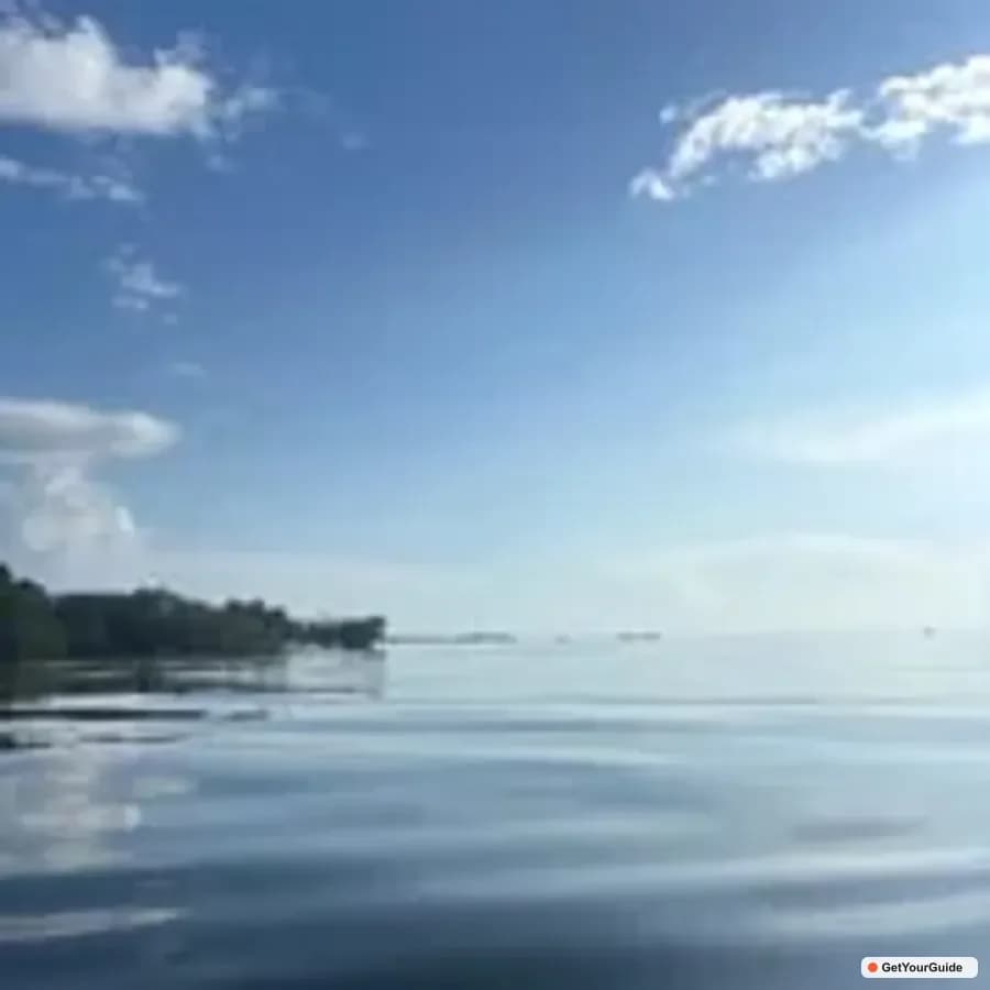 Bohol Mangrove Tunnels & Firefly Kayaking Trail
