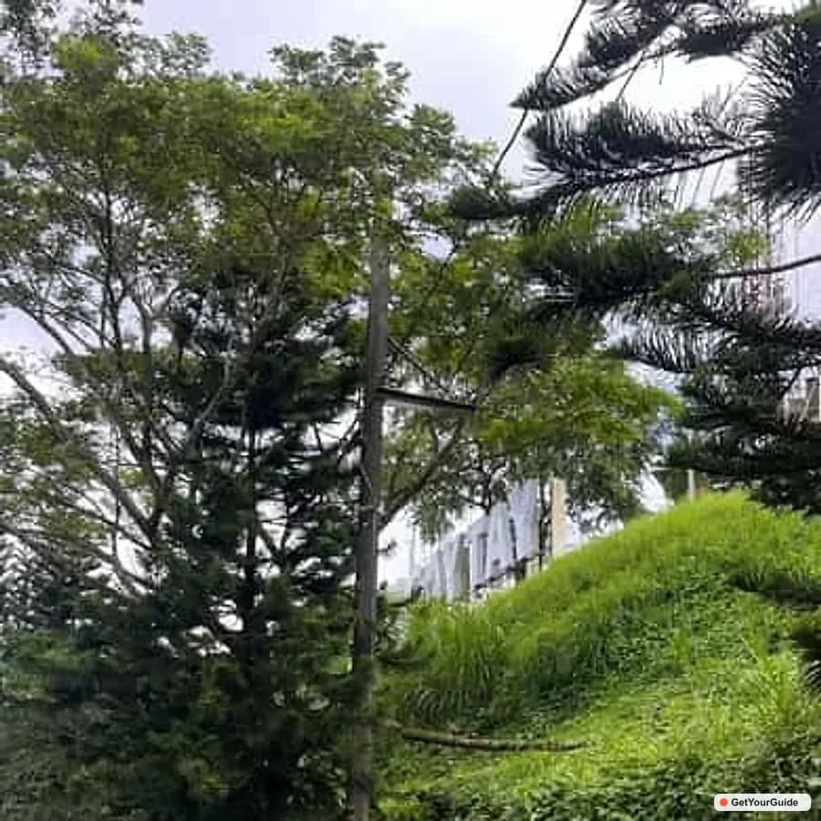 Tagaytay Day Tour (Shared)
