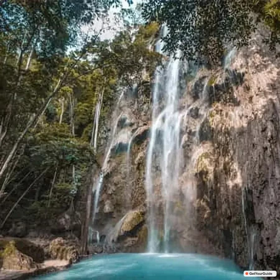 Whale Shark Tour, Tumalog Falls & Moalboal Sardines