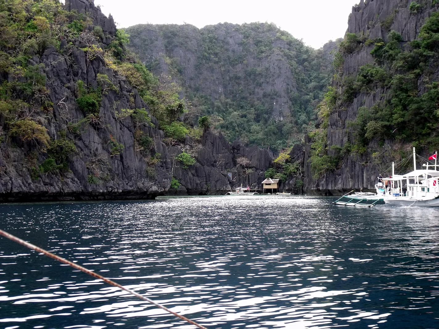 Barracuda Lake: Diving the Thermocline in Coron