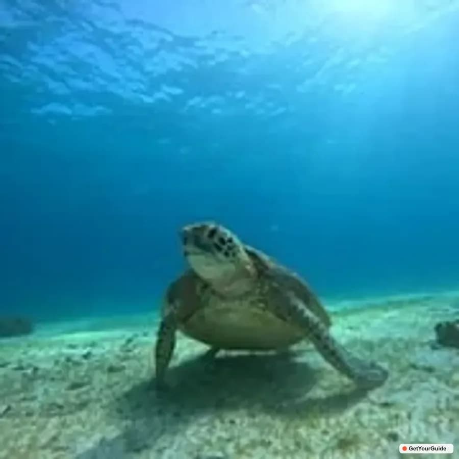 Uruguay to Philippines Travel Guide 2026: Flights, Visa & Insider Tips