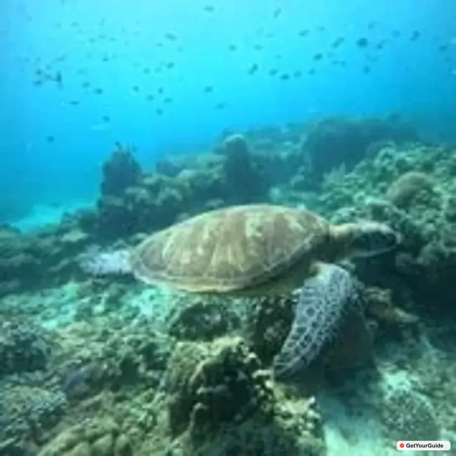 Panama to Philippines Travel Guide 2026: Flights, Visa & Insider Tips
