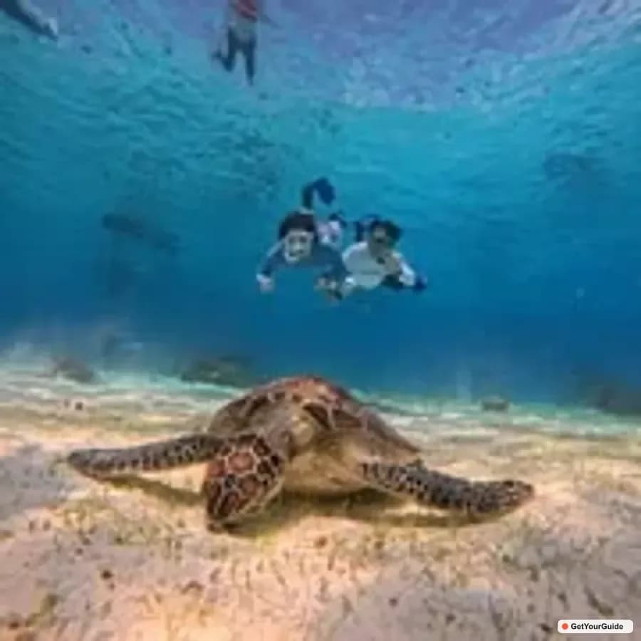Guatemala to Philippines Travel Guide 2026: Flights, Visa & Insider Tips