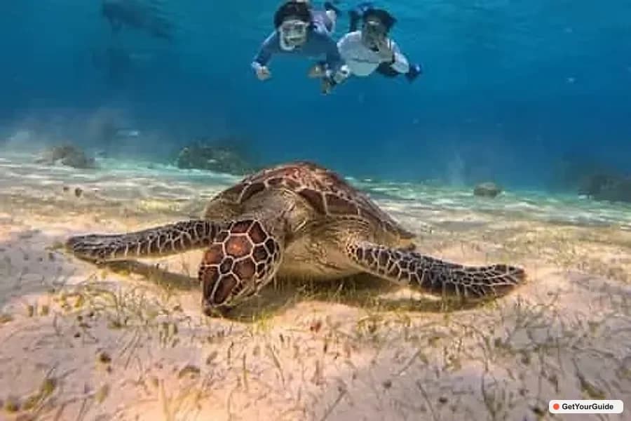 Honduras to Philippines Travel Guide 2026: Flights, Visa & Insider Tips