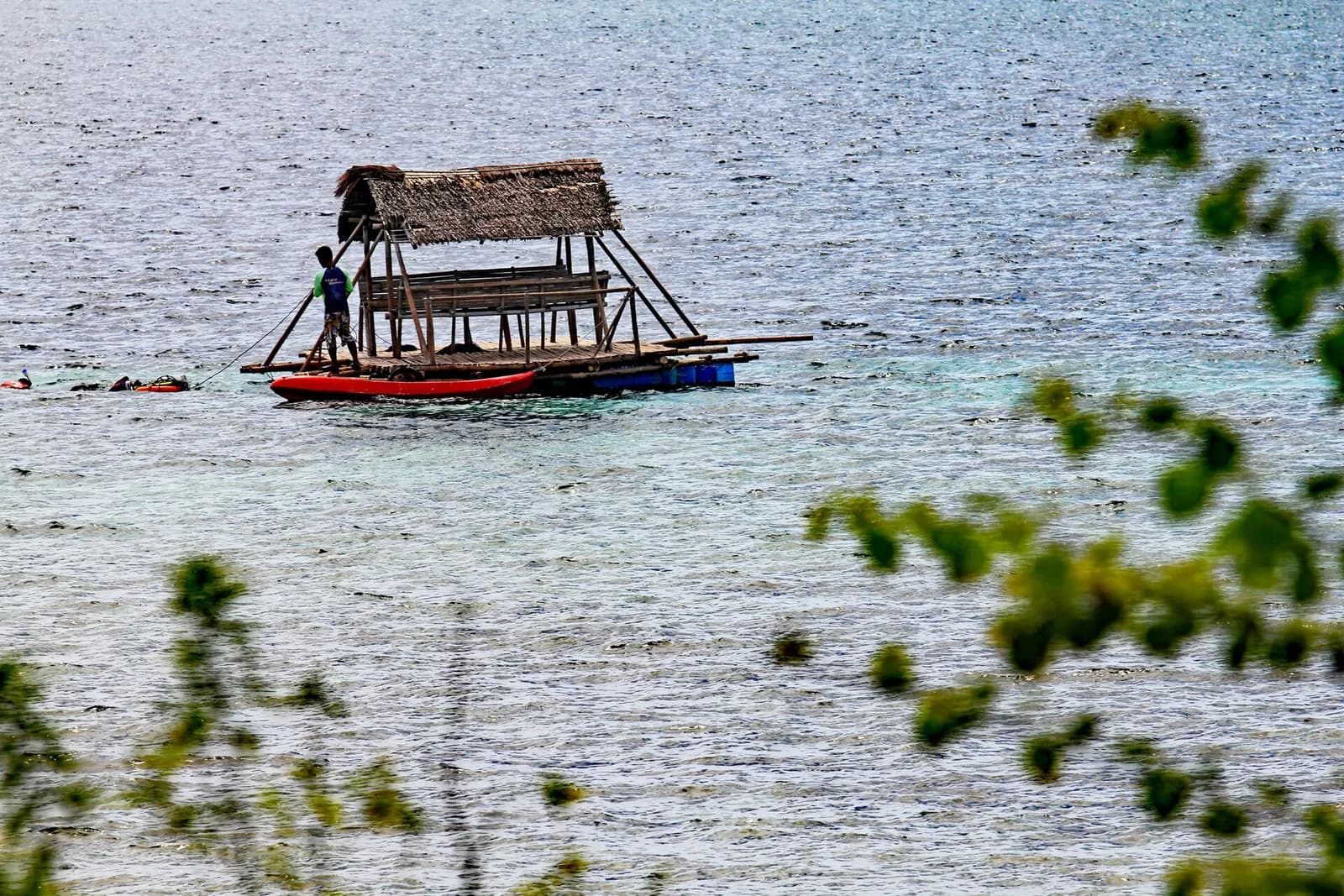 Moalboal's Sardine Run Is Not a Run: Five Things Travellers Get Wrong About Cebu's Baitball