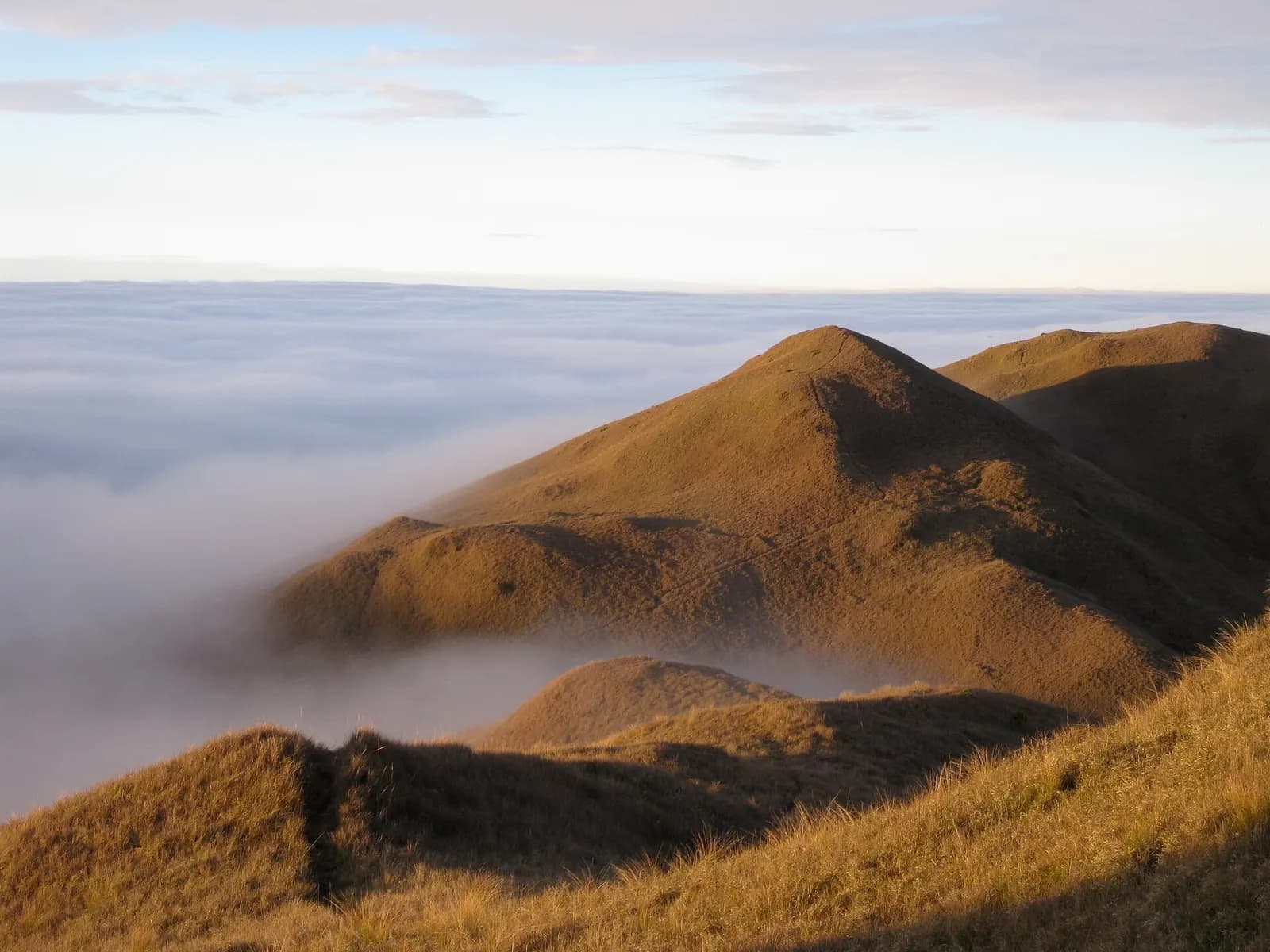 Climbing Mount Pulag in 2026: The DENR Permit, the Medical Certificate and the 500-Person Daily Cap