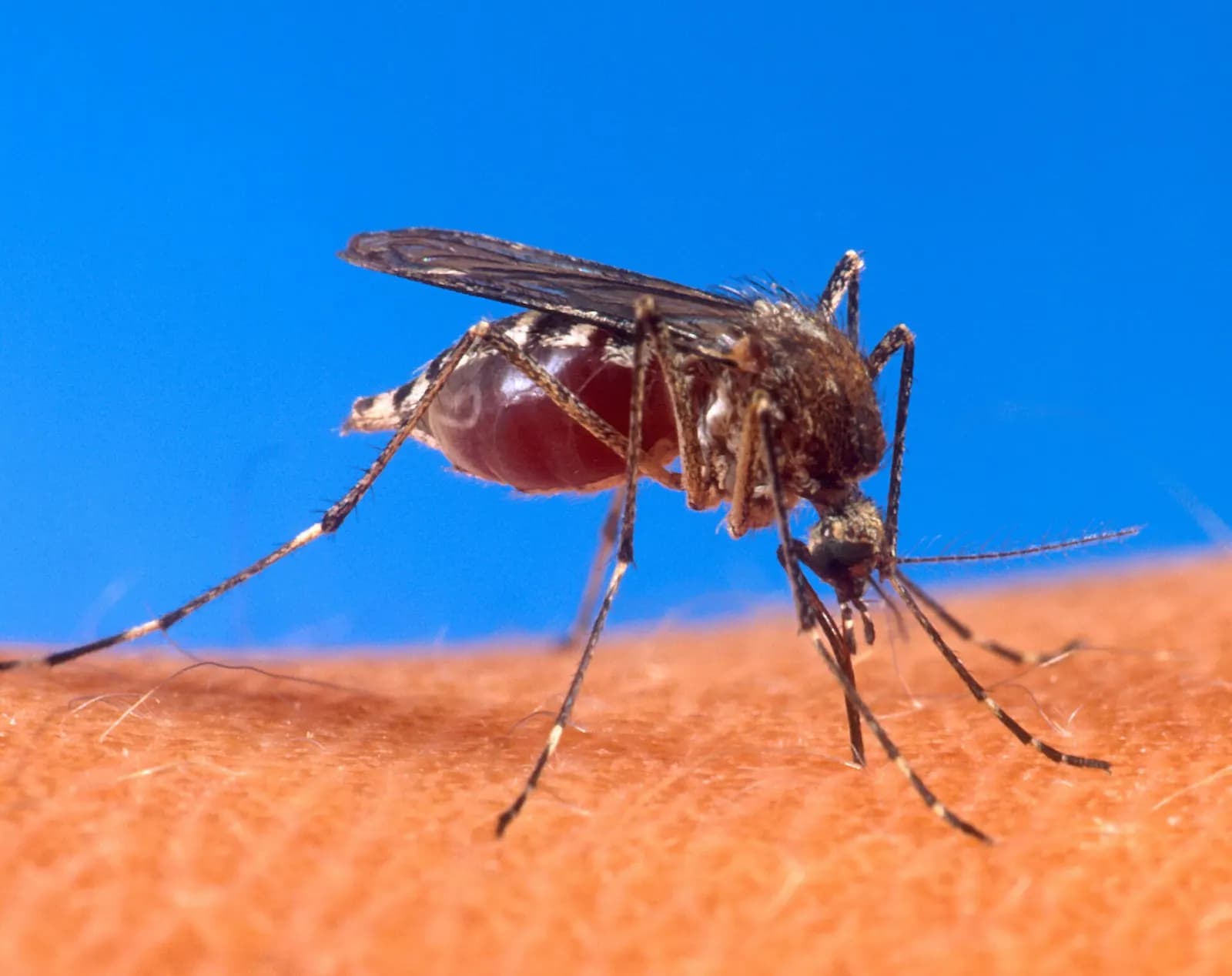 Five Health Mistakes Travellers Make in the Philippines, Starting With the Malaria Tablets