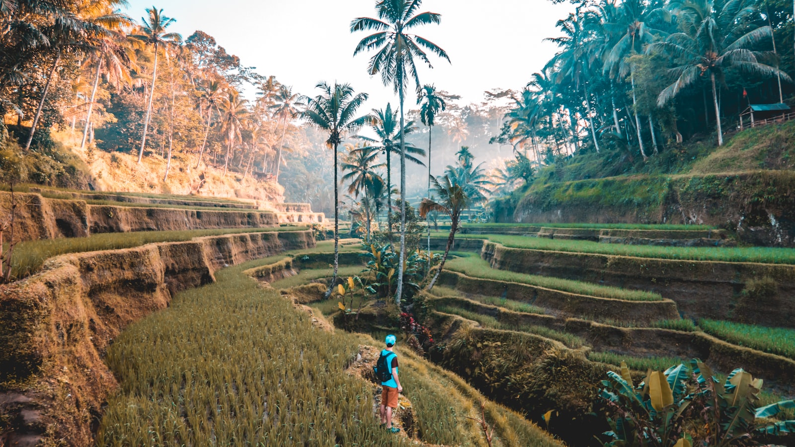 Banting Travel Guide 2026: Explore the Best of Banting