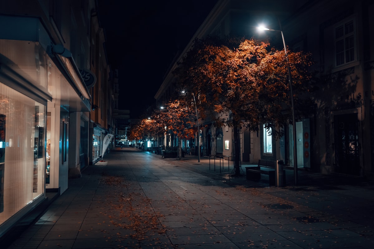 Wiener Neustadt street scene