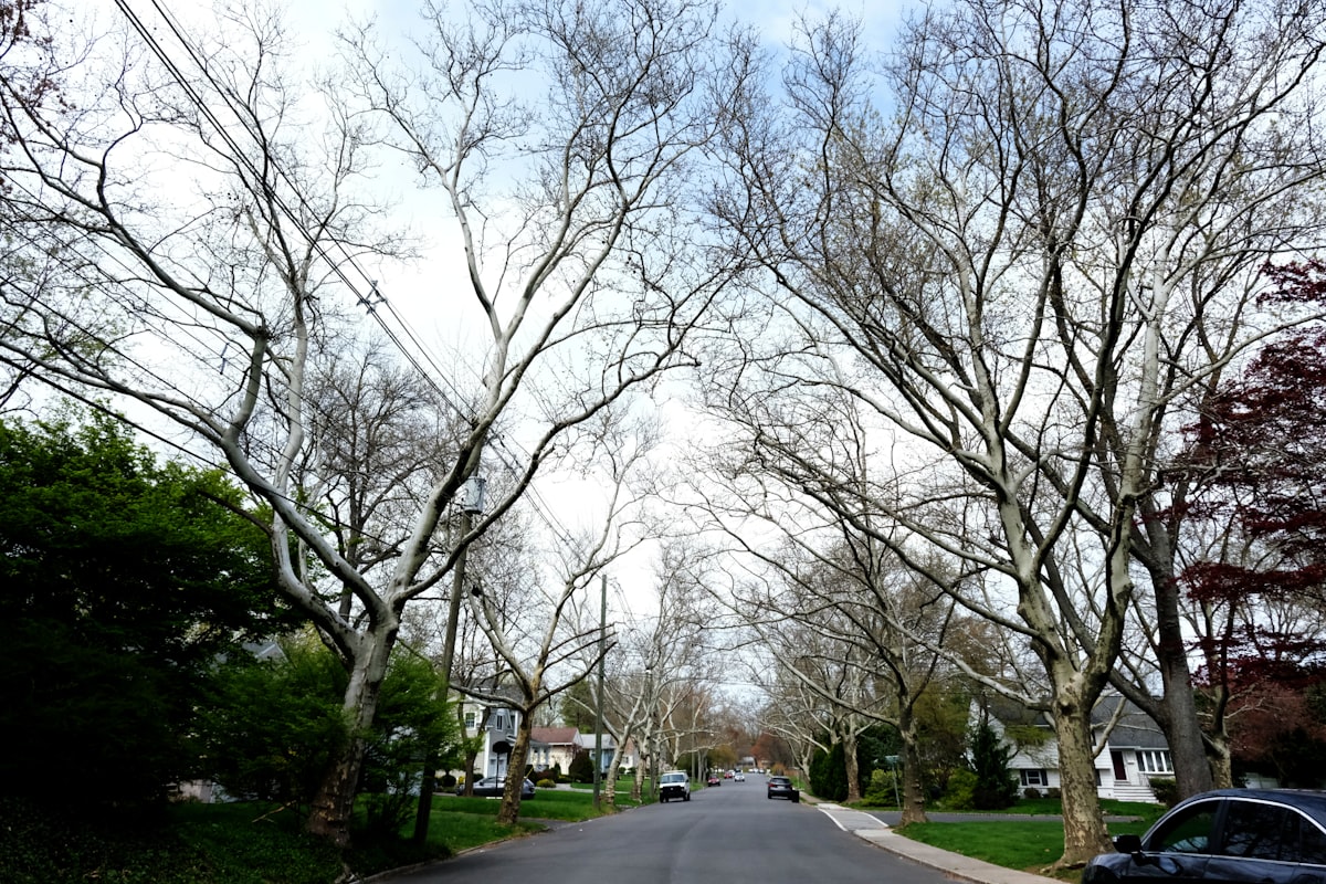 Birch Run (MI) street scene