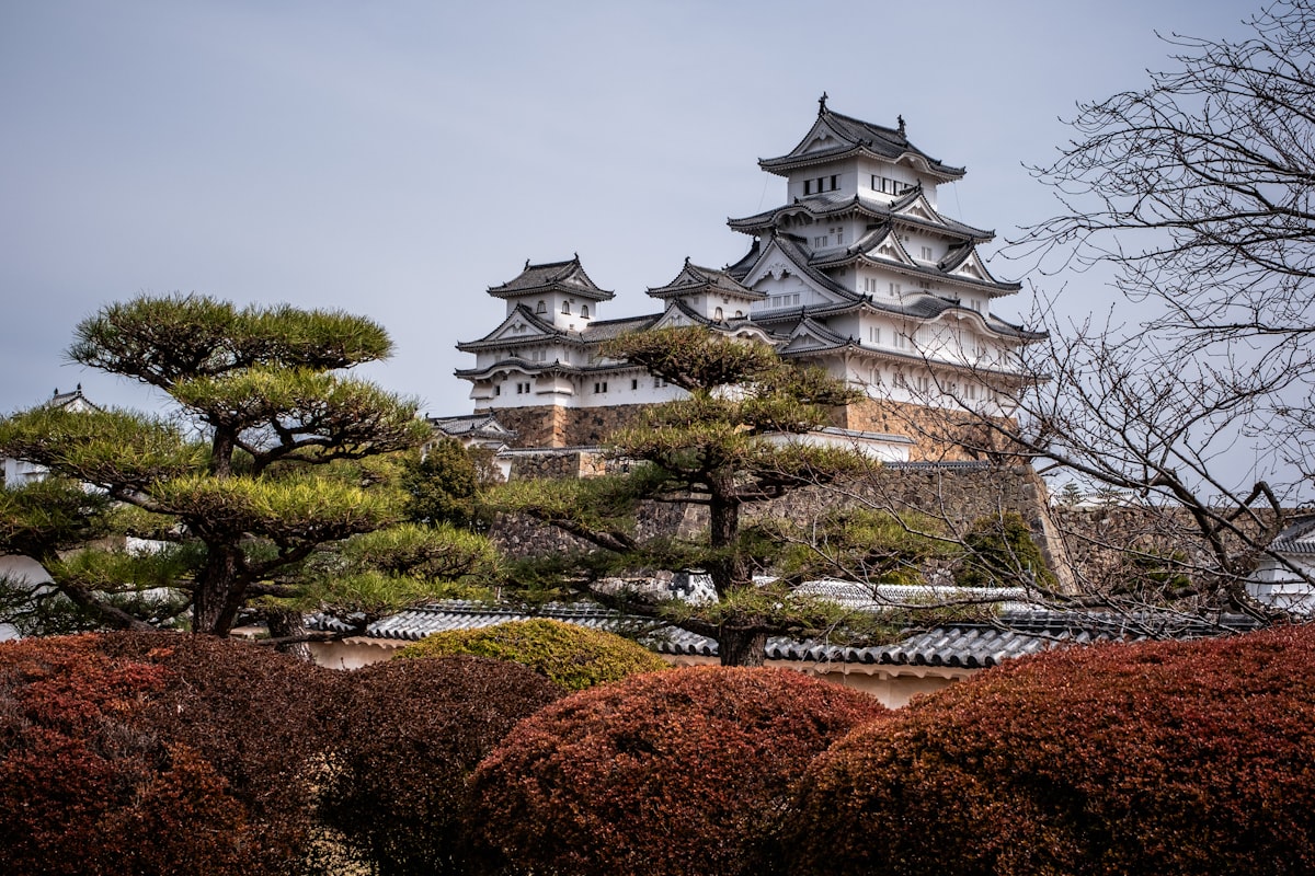 Hikone castle exterior
