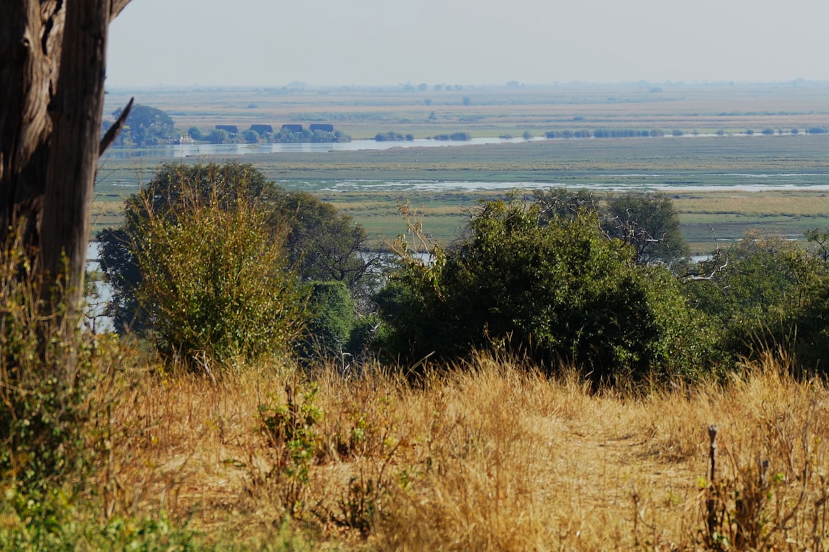 Chobe city skyline