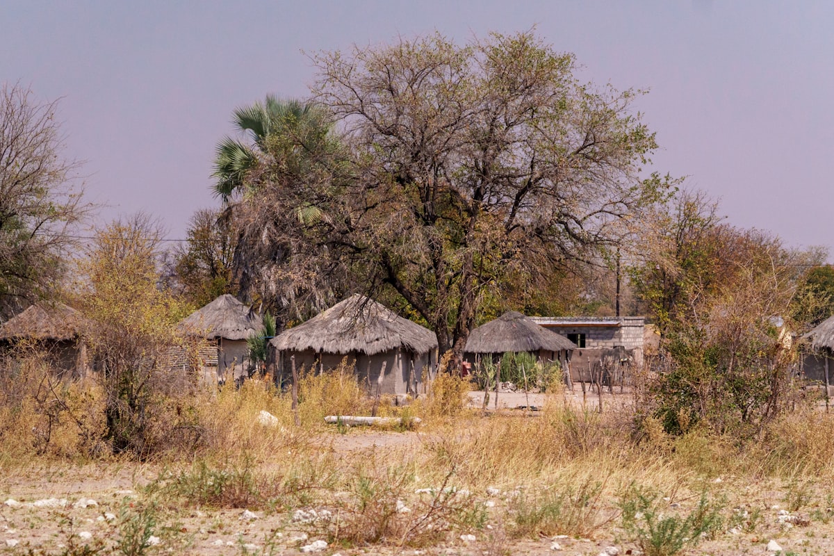 Chobe street scene