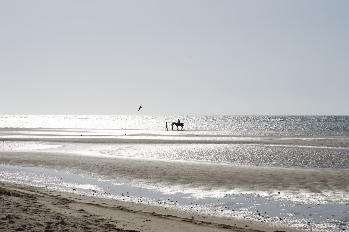 Umluj beach scene